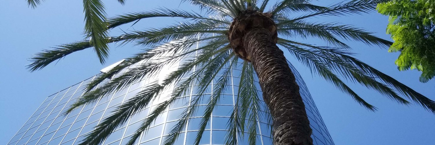 TracyLandau's profile banner image