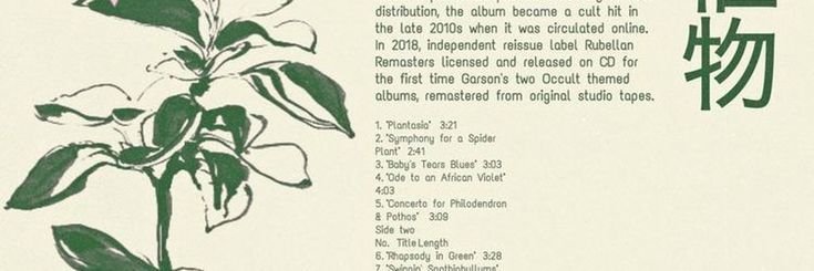 𝐀𝐃𝐀𝐌 banner