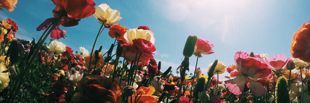 mmichelle__a's profile banner image
