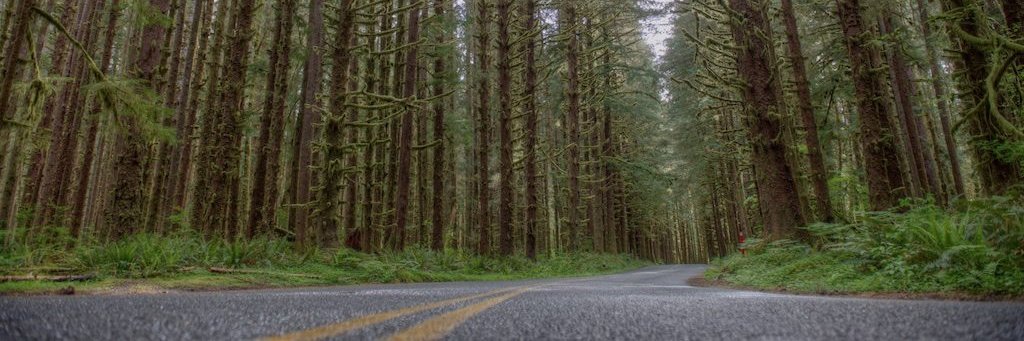 calloftheroad's profile banner image