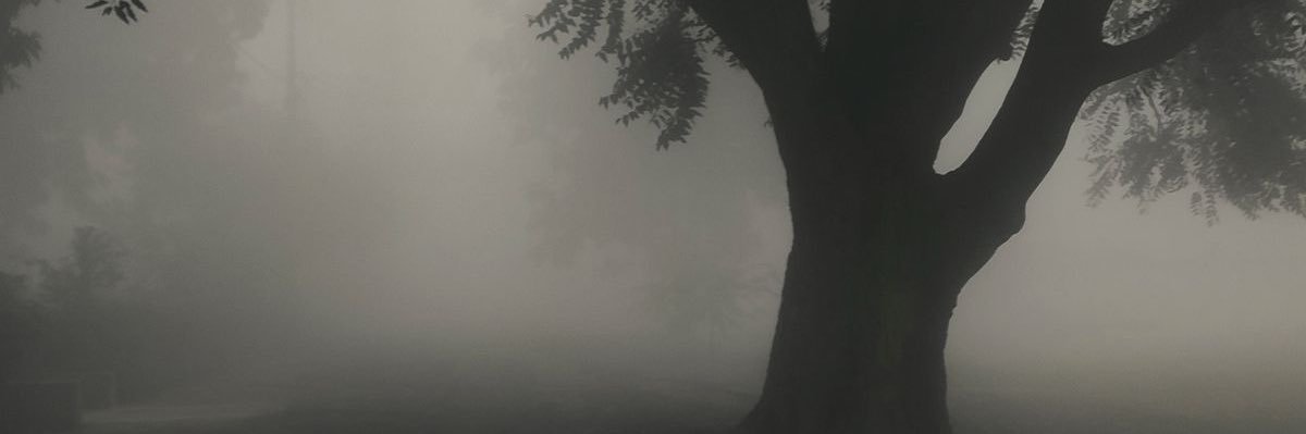 ✞ alex 🎀 banner