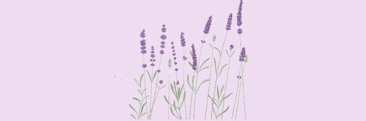 Delycedilloa's profile banner image