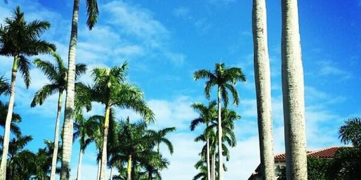 Hilqueas_bella's profile banner image
