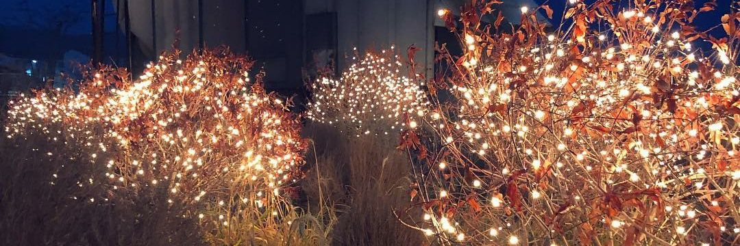 J_KunJeon's profile banner image