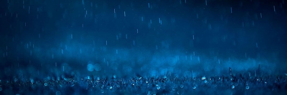 david_magdalena's profile banner image