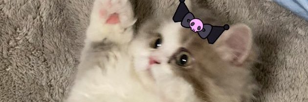 えびにゃ🍤 banner