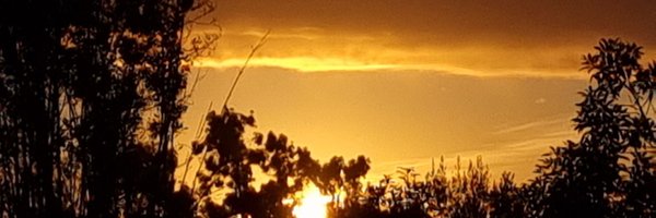 ack_lorena Profile Banner