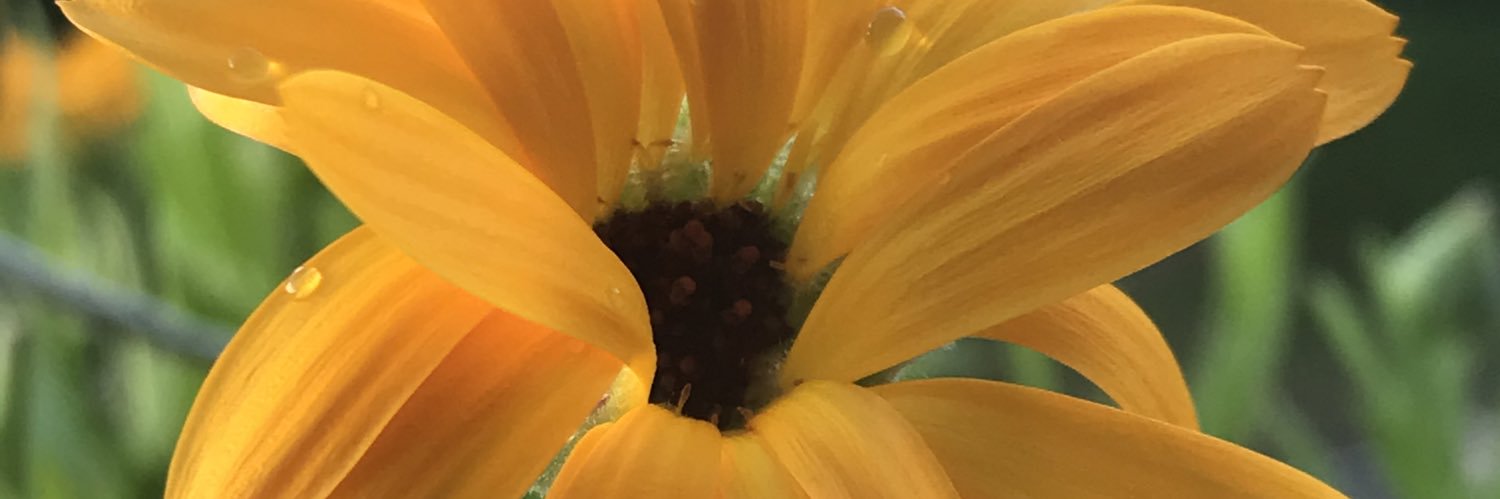 lovemecru's profile banner image
