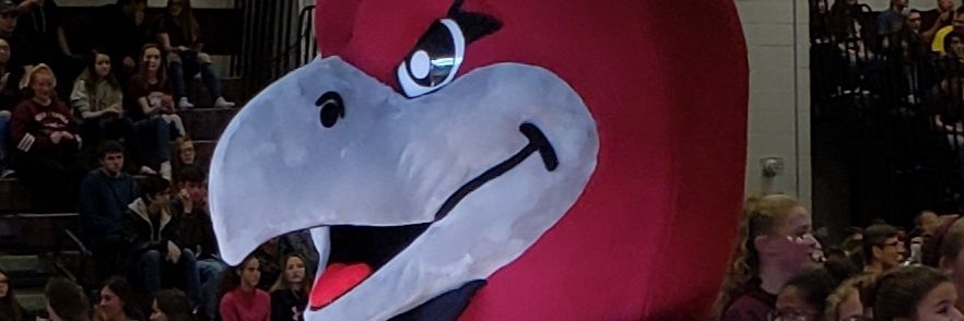 Kristin Enright banner