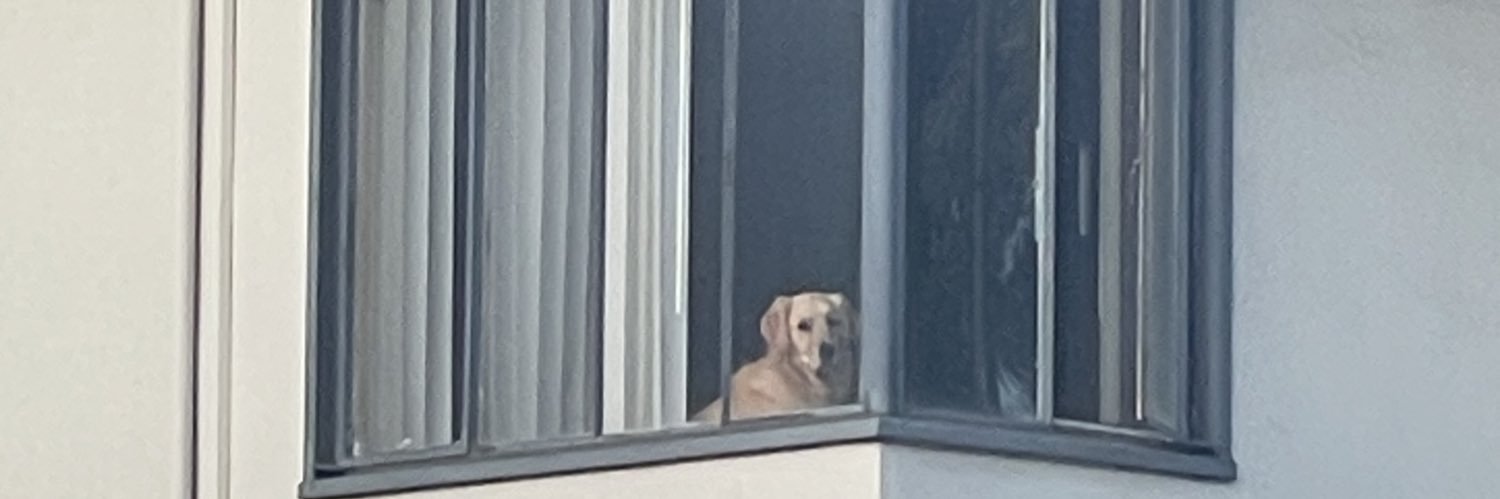 ドゥーフェンシュマーツ博士 banner