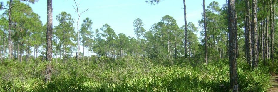 Jessica Ryals, Extension Agent banner