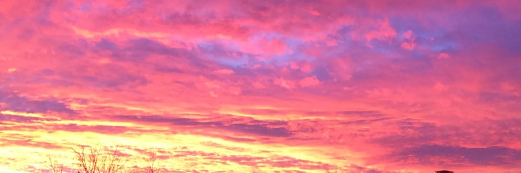 Mimi Rose banner