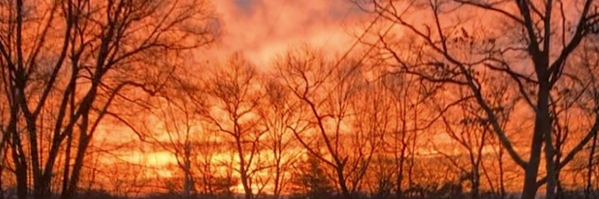 dmorelli91's profile banner image