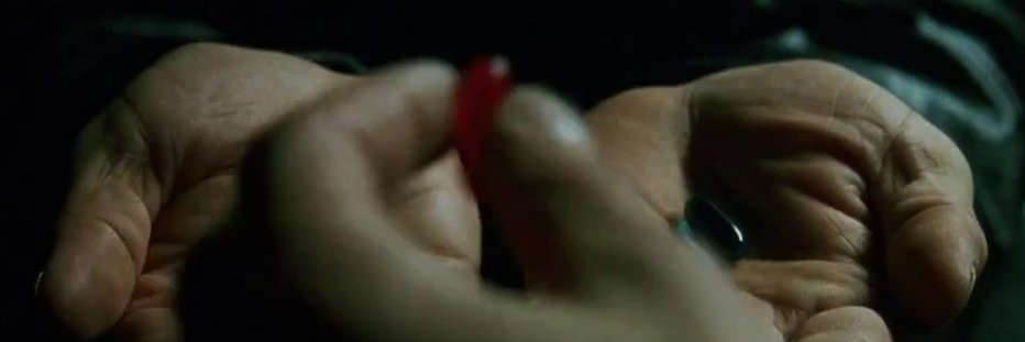 Rog banner