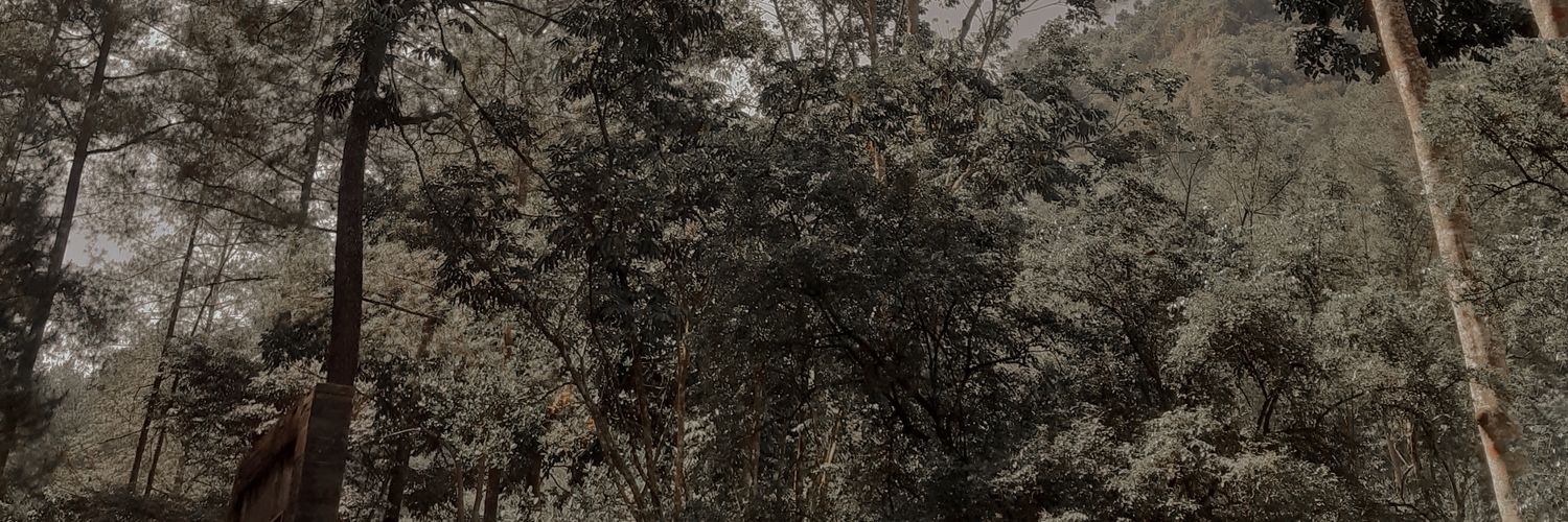 anfaau's profile banner image