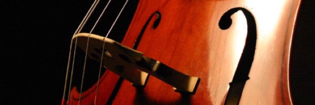 Anthony Middle School Orchestra banner