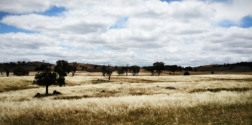 ardhavic's profile banner image
