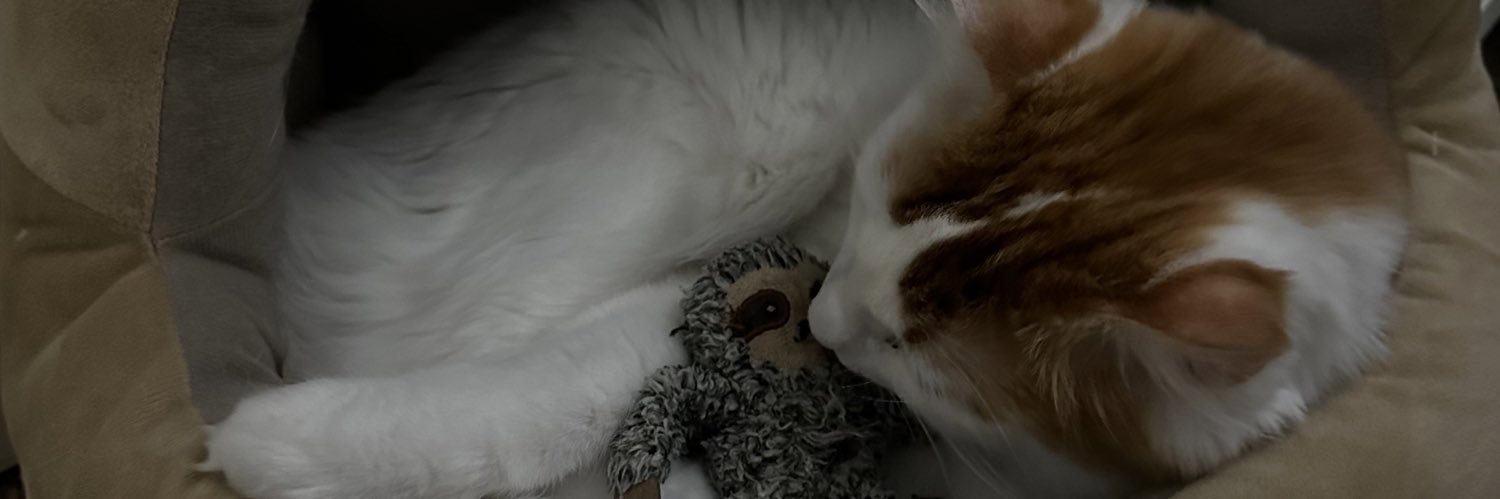 britnap99's profile banner image