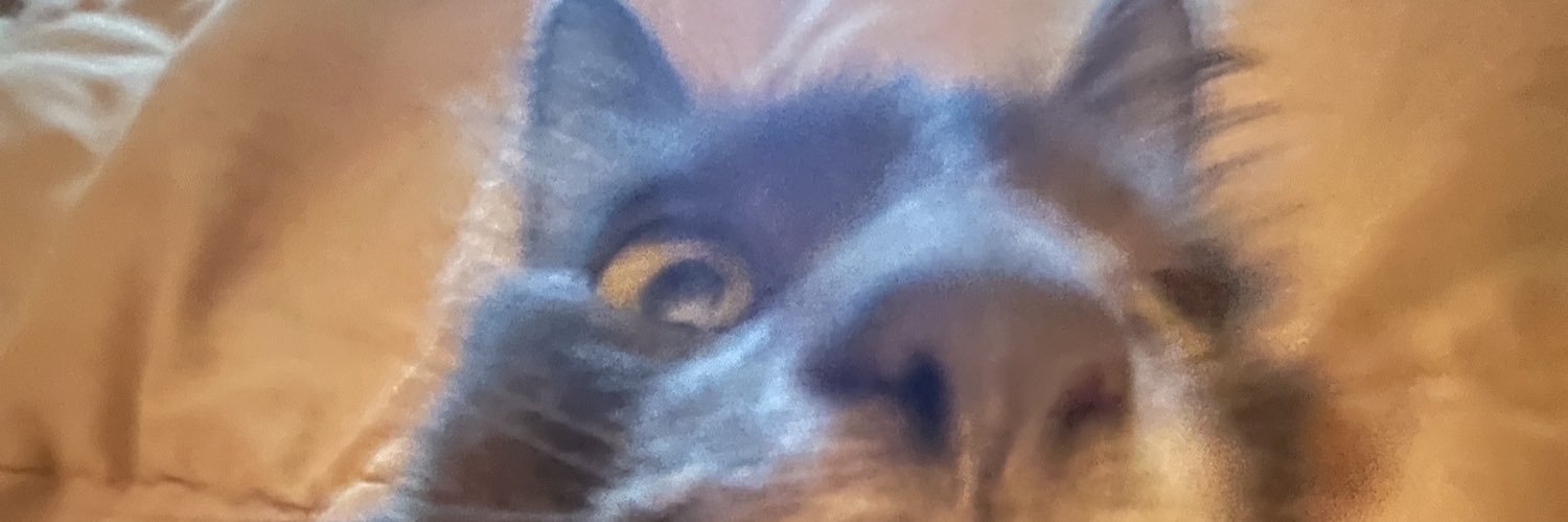 xxhanneth's profile banner image