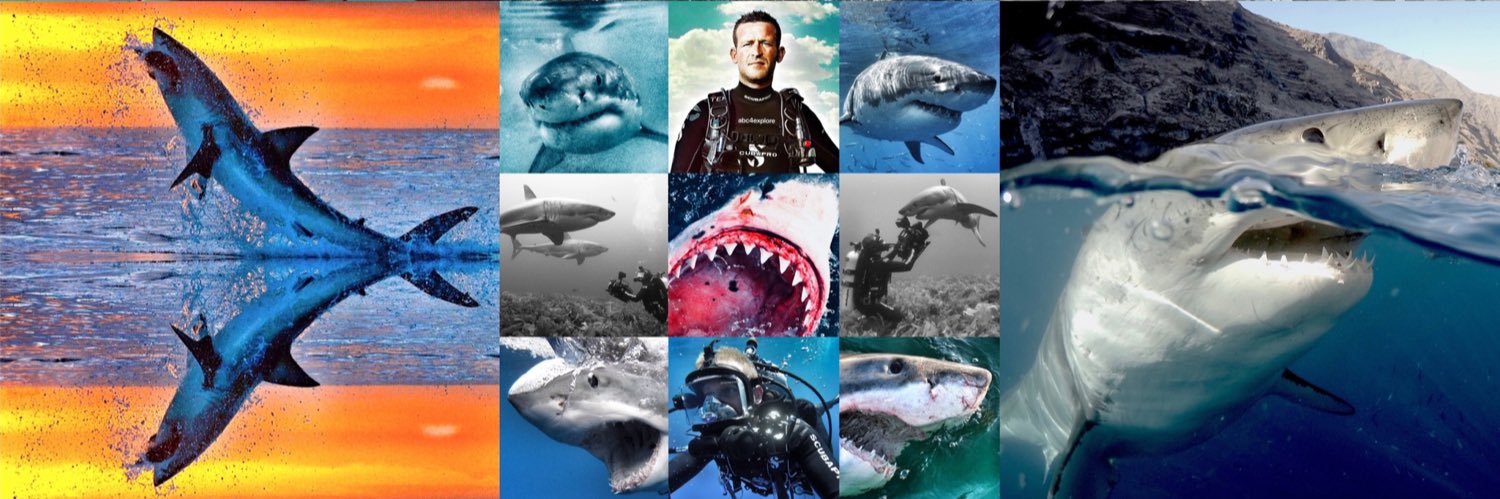 Andy Casagrande 🔥🦈🔥's banner