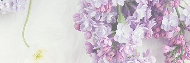 ♊️ banner