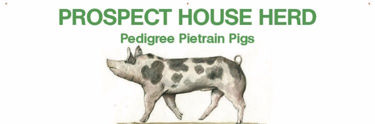 prospectpigs's profile banner image