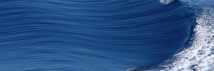 scienceullrich's profile banner image