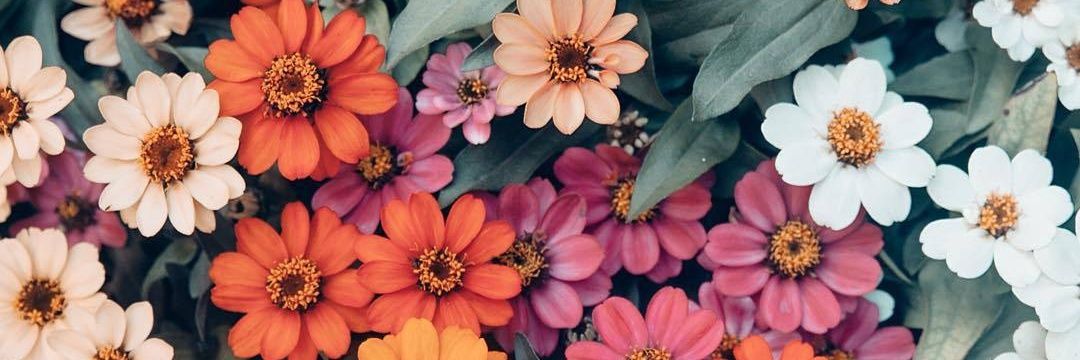Maganievas's profile banner image