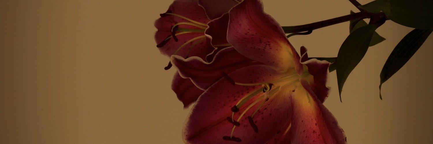 J🕊️ banner