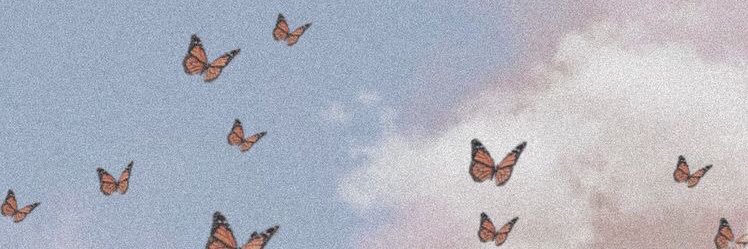 pribbach's profile banner image