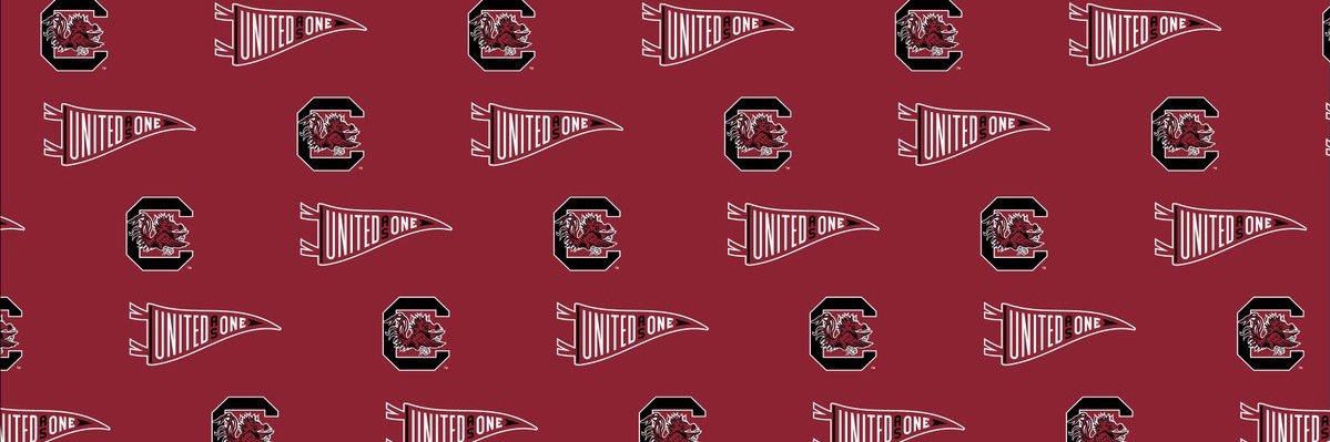 Mr. D. Singleton banner