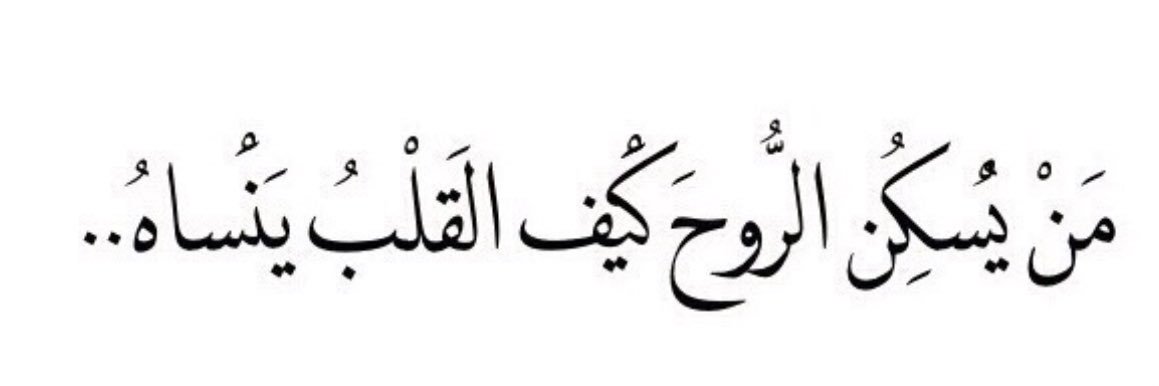 حمامة🕊 banner