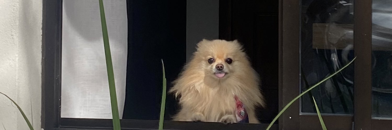 verofigueredoa's profile banner image