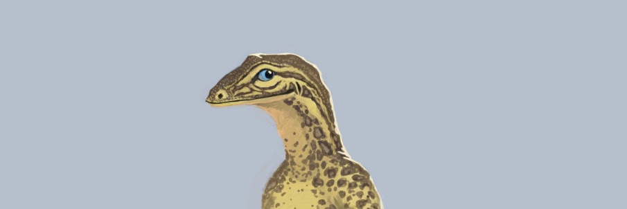 JohnnyLizard31🦎 banner