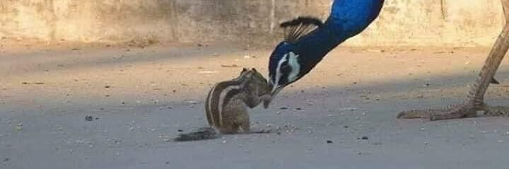 Subhash Kamath banner