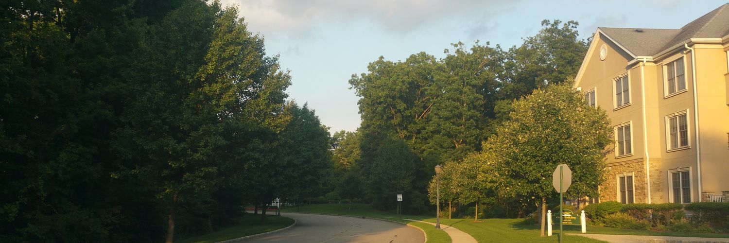 The_Persistence banner