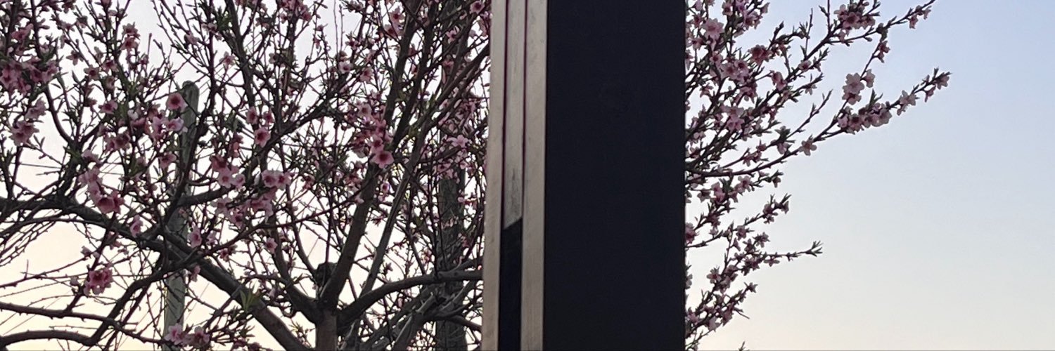 martumota's profile banner image