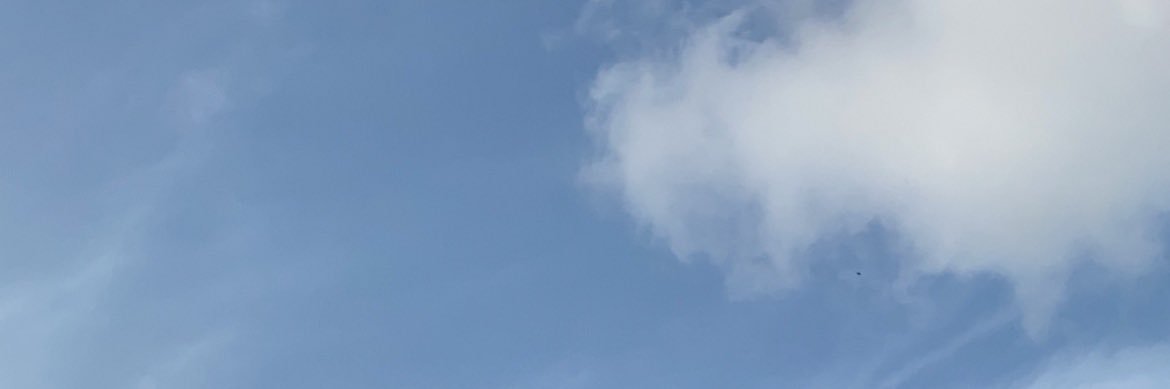 الأديب banner