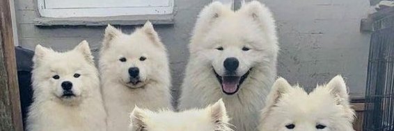 keendawit's profile banner image