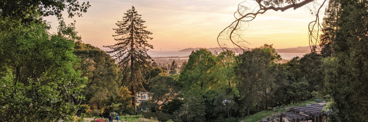 Nadia Safaeinili banner