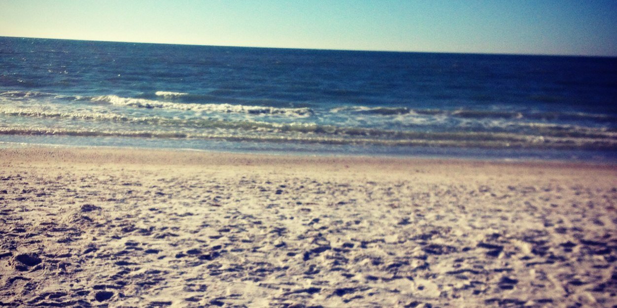 Molly_Cate's profile banner image