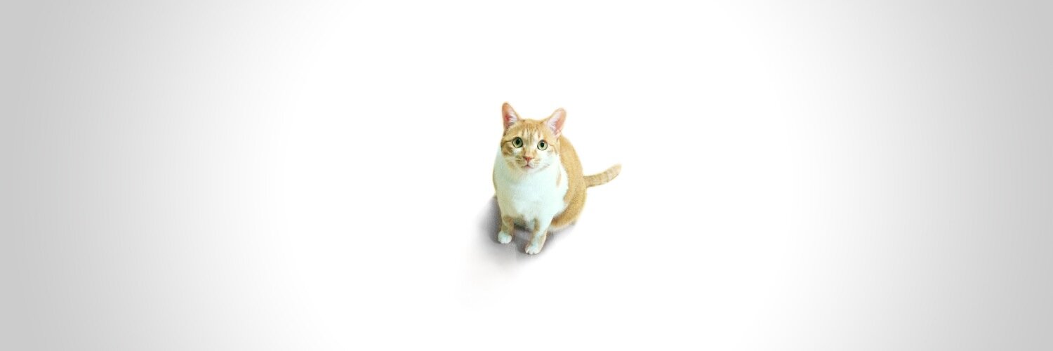 mutansan's profile banner image
