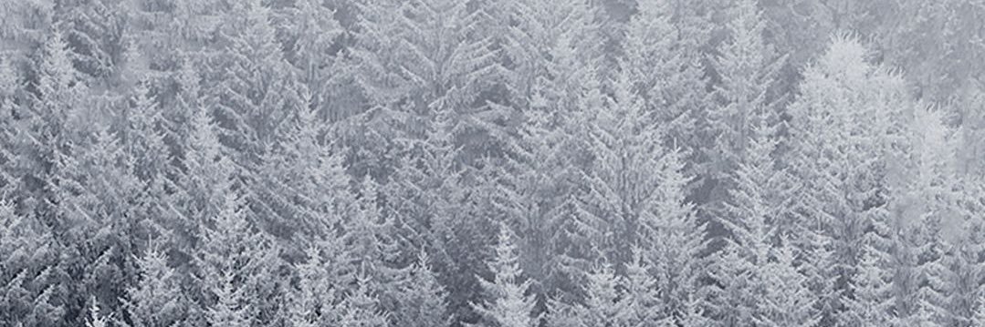 _xomaddi's profile banner image