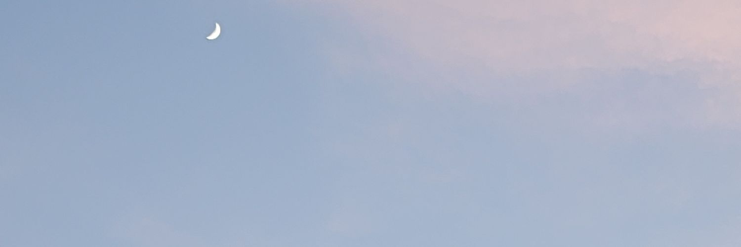 PizzaPants's profile banner image
