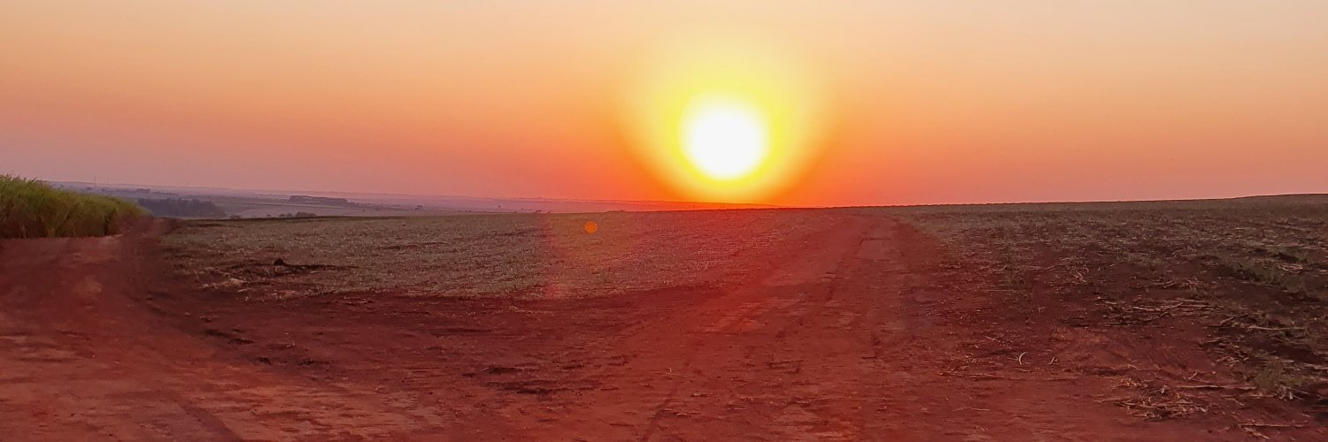 aleebotelho1's profile banner image