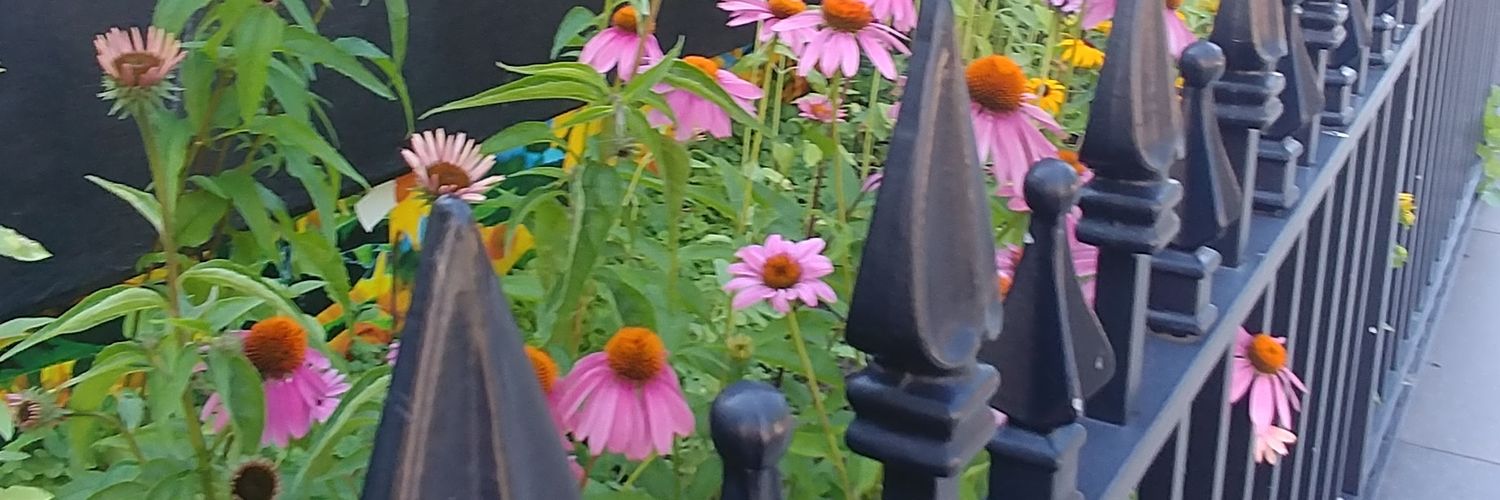 megan_k_scheffe's profile banner image