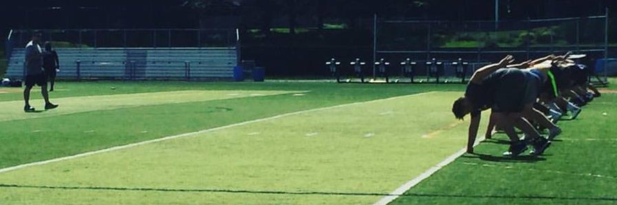 PJ Lion Strong banner