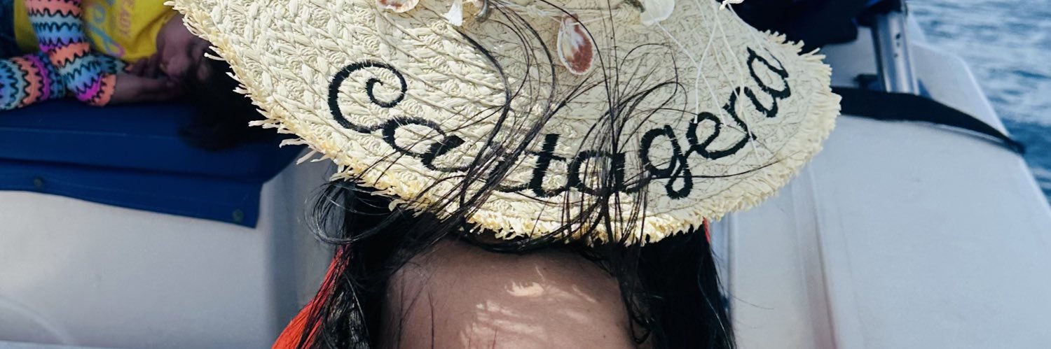 Feernandavelez's profile banner image