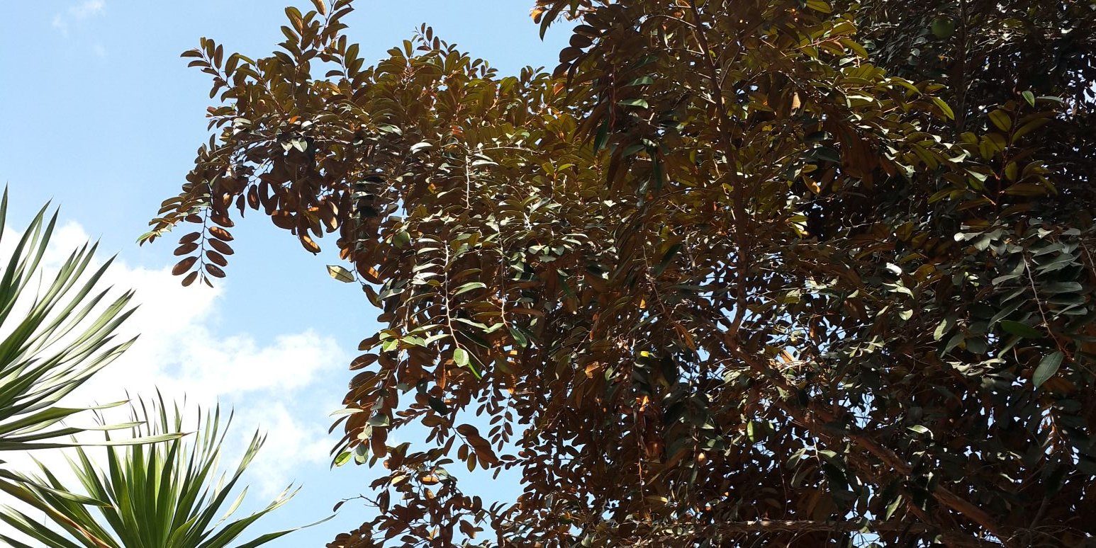 icasalsabilaa's profile banner image