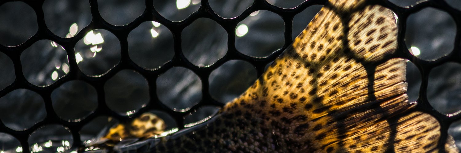 CatchFlyFishing's profile banner image